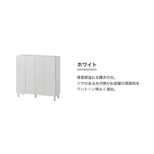 シューズボックス 【リアル 100 LO】 ホワイト つや有_シューズボックス リアル 100 LO 大川家具 ホワイト つや有 靴箱 靴 収納 可動棚 お洒落 国内製造 お取り寄せ 福岡県 久留米市 送料無料 〔Qd063-01〕