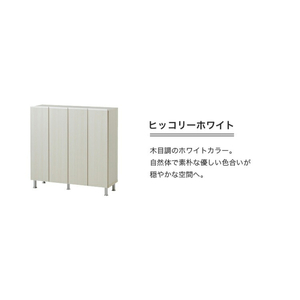 シューズボックス 【リアル 100 LO】 ヒッコリーホワイト_シューズボックス リアル 100 LO 大川家具 ヒッコリーホワイト 靴箱 靴 収納 可動棚 お洒落 国内製造 お取り寄せ 福岡県 久留米市 送料無料 〔Qd063-02〕