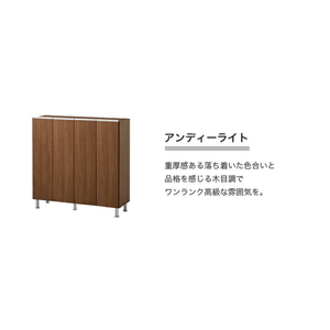 シューズボックス 【リアル 100 LO】 アンディーライト_シューズボックス リアル 100 LO 大川家具 アンディーライト 靴箱 靴 収納 可動棚 お洒落 国内製造 お取り寄せ 福岡県 久留米市 送料無料 〔Qd063-04〕