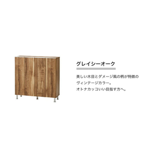 シューズボックス 【リアル 100 LO】 グレイシーオーク_シューズボックス リアル 100 LO 大川家具 グレイシーオーク 靴箱 靴 収納 可動棚 お洒落 国内製造 お取り寄せ 福岡県 久留米市 送料無料 〔Qd063-05〕