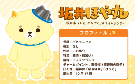 ほやドラ 6個セット 福井県坂井市の公式キャラクター "坂井ほや丸" との 可愛すぎるコラボスイーツ【どら焼き 和菓子 お菓子 スイーツ おやつ インスタ映え ほや丸 キャラクターコラボ 詰め合わせ セット】 [A-12842]