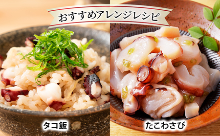 北海道枝幸産 浜茹でボイル 冷凍タコ足 1本 約500g (3～4等分にカット)［廣瀬商店］獲れたて鮮度！刺身も絶品オホーツクの恵み【 冷凍 脚 小分け 魚介 タコ たこ 蛸 タコ足 ボイル 浜茹で 刺身 海の幸 北海道 枝幸 】