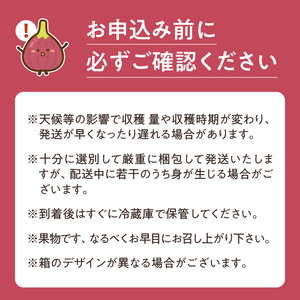 福岡県ブランドいちじく「とよみつひめ」約300g×4パック_ブランド いちじく とよみつひめ 約300g×4パック 計1.2kg 肉厚 果肉 滑らか 食感 甘く 上品な 味わい ケーキ タルト ジャム パフェ シャーベット スイーツ 食材 果物 フルーツ 果実 お取り寄せ グルメ お取り寄せグルメ 福岡県 久留米市 送料無料 〔Fx020〕