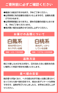 〈2026年度配送分〉甲府市産　フルーツ定期２回便　もも×シャインマスカット