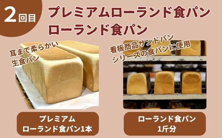 【三ヶ月定期便】小松産大麦食パンと月替わり食パンたちセット 