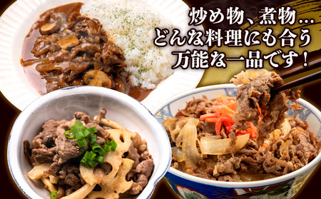 宮崎県産 黒牛 切り落とし 600g（300g×2パック） 赤身 牛肉 切り落とし 肉 お肉 牛 国産牛 小分け 真空パック コスパ 冷凍 贈答 ギフト 人気 国産 えびの市 送料無料