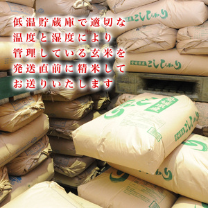 愛媛県産コシヒカリ20kg