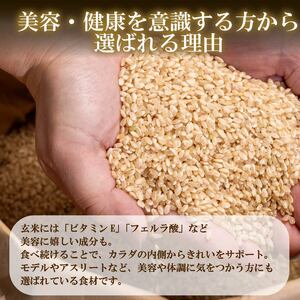 【パックご飯】 定期便6回 玄米 国産こしひかり 無添加一分づき 120g 計24個 パックご飯