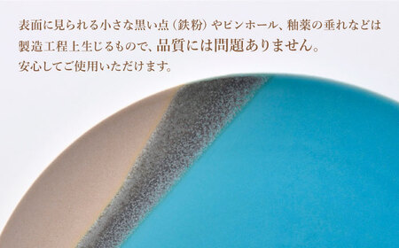 【波佐見焼】Scenery（シーナリー）トルコブルー プレート M（21cm）2枚セット　【光春窯】[XD114]