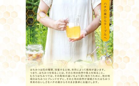 奈良産純粋はちみつ300g×3個(900g)／ むろうはちみつ 66832 室生 国産 蜂蜜 ハニー ギフト お取り寄せ ふくさきわう 奈良県 宇陀市 ふるさと納税