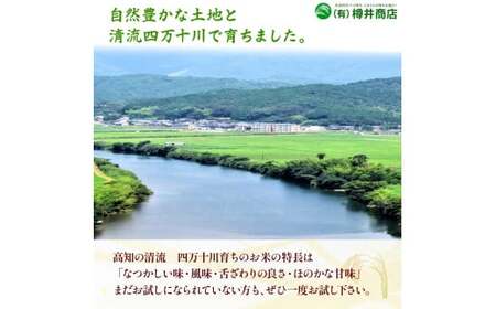 【令和7年産米】樽井商店のヒノヒカリ（5kg）Bti-Y11 ／  米 ご飯