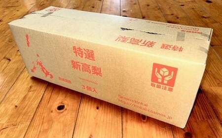 新高梨 5kg 【2026年9月上旬～10月上旬迄発送予定】 梨 なし 和梨 果物 果実 フルーツ 国産 九州 長崎県 長崎市 常温 オンライン決済限定