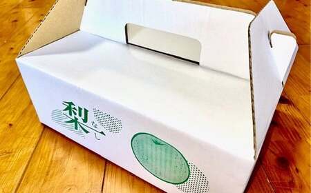 豊水梨 5kg  【2026年8月下旬～9月上旬迄発送予定】 ／ 梨 なし 和梨 果物 果実 フルーツ 国産 九州 長崎県 長崎市 常温 オンライン決済限定