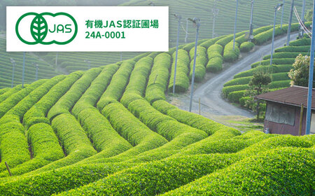 お茶 煎茶・和紅茶セット [AIBV004] 