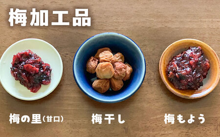 「やま里の恵み」詰合セット [AICC002]