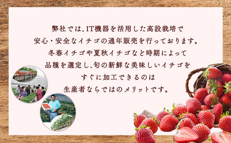 ドライ苺3個セット