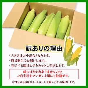 【先行予約】南国市産 訳あり スイートコーン ゴールドラッシュ 2kg（5～6本）朝採れ コーン