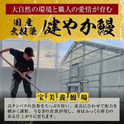 Y61-172 健やか鰻 国産うなぎ蒲焼（無頭）4尾（計620g以上） うなぎ