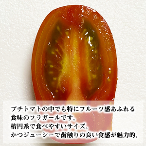 岩手県産 ミニトマト フラガール 1kg 【淺利園】／ 高糖度 トマト とまと 野菜 やさい フレッシュ 新鮮 夏野菜 旬 旬野菜 甘い 美味しい フルーツトマト 1キロ １キロ １kg 楕円 希少 稀少 期間限定 お取り寄せ グルメ 季節限定 夏 産地直送 農家直送 国産 人気 おすすめ