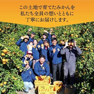 有田みかん 極 プレミアム 2kg (2S～Lサイズ) 光センサー選別 / 温州みかん みかん 甘い 高級 和歌山 柑橘 ※2026年11月下旬～2027年1月上旬頃に順次発送予定 ※北海道・沖縄・離島への配送不可 【nuk004-p-2B】