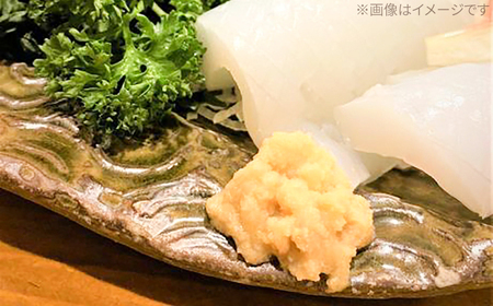 高知そだちのしょうがだけ 約50g×10パック / しょうが ショウガ 生姜 国産 高知 調味料 パウチ 【Japan Ginger 株式会社】 [ATFD004]