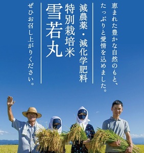 SC0665　令和7年産【精米】つや姫マイスターが作った 特別栽培米  雪若丸　 10kg(5kg×2袋)　［減農薬・減化学肥料］ MA