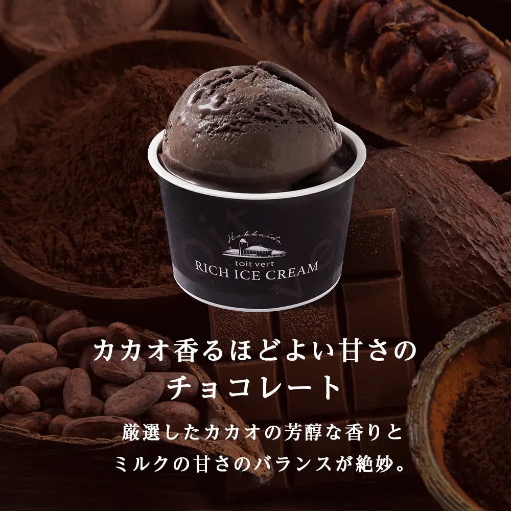 【定期便6ヶ月】リッチアイスクリーム カカオ香るほどよい甘さのチョコレート 8個セット（100ml）