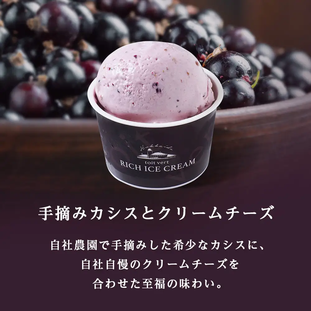 【定期便6ヶ月】リッチアイスクリーム 手摘みカシスとクリームチーズ　8個セット（100ml）