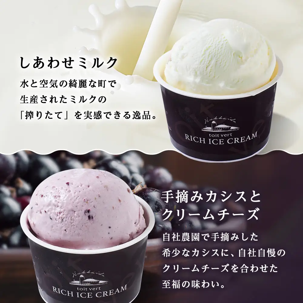 【定期便6ヶ月】リッチアイスクリーム 8個セット（100ml）【 4種 × 各2個】