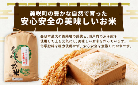 令和7年産 里海米 （キヌムスメ） 10kg 【2025年10月上旬から2026年9月下旬発送予定】／ きぬむすめ お米 米 精米 白米 ご飯 岡山県 美咲町