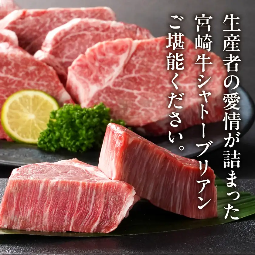 畜産農家応援! 宮崎牛シャトーブリアンステーキ150g×2枚〔AF-N2-009-300g〕_(都城市) 宮崎県産宮崎牛 シャトーブリアン ステーキ 宮崎牛 牛肉