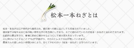 MUSCLE GYOZA ～マッスルギョーザ～ 松本一本ねぎ（40個入り）