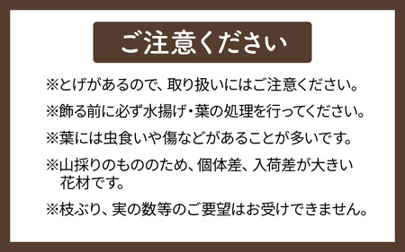 【先行予約】季節の花材 栗枝 1本（約35～38cm）【2025年9月下旬以降順次発送】/ フラワーアレンジ くり 