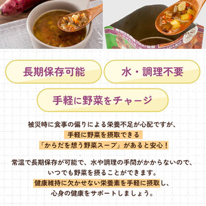 【からだを想う野菜スープ】和風五目30食セット/レトルト/食物アレルギー対応/長期保存/防災食