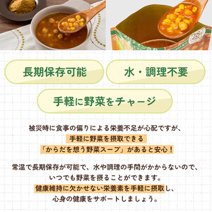 【からだを想う野菜スープ】ひよこ豆カレー10食セット/レトルト/食物アレルギー対応/長期保存/防災食