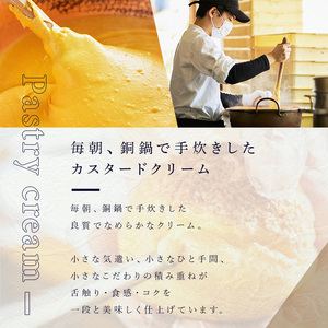 シュークリーム 48個 薩摩77万石溶岩サブレシュー パイシュー お菓子 スイーツ おやつ 青山じゅあん No.1049-D