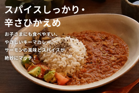 お試し★ 絹姫サーモン 奥三河おさかなキーマカレー 1個 レトルトカレー 魚 サーモン 鮭 非常食 キーマカレー ネコポス -213