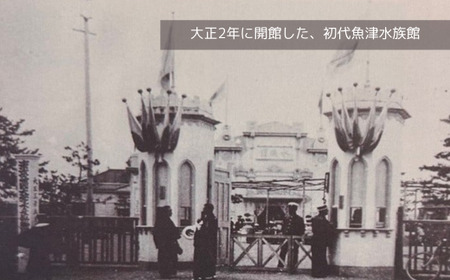 魚津水族館 入館チケット1枚引換券/一般(高校生以上)※北海道・沖縄・離島への配送不可