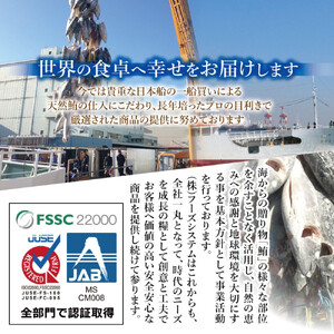 天然まぐろたたき　めばちまぐろ100%たたき　60g×12個 AKT0010
