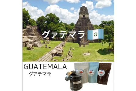 コーヒー豆 3ヶ月 定期便 100g×3 [いち日のはじまり 福岡県 筑紫野市 21761469]