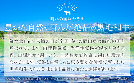 リブorサーロインステーキ 500g ステーキ 和牛
