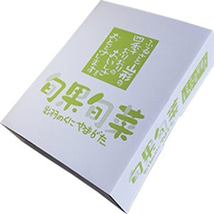 【数量限定】プラム（ゴールド秋姫）秀品【２ｋｇ箱に１.８ｋｇ～２.２ｋｇ詰め】　0106-2606