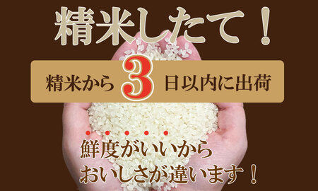 R７年度産（令和７年）特別栽培米 佐賀ブランド 米「 夢しずく 」10kg（5kg×2袋）田中農場 精米 白米 10キロ 特A 評価  C230-011