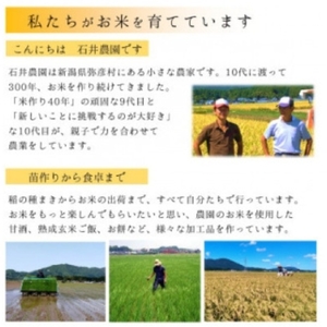 ＜乾燥米こうじ 500g×2袋＞弥彦村 石井農園 新潟県認証特別栽培米 コシヒカリ使用 | 米麹