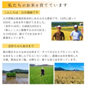 ＜乾燥米こうじ 500g×5袋＞弥彦村 石井農園 新潟県認証特別栽培米 コシヒカリ使用 | 米麹