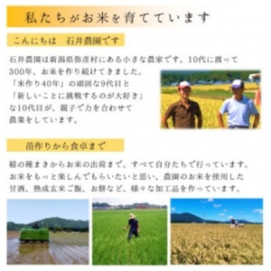 ＜乾燥米こうじ 500g×8袋＞弥彦村 石井農園 新潟県認証特別栽培米 コシヒカリ使用 | 米麹
