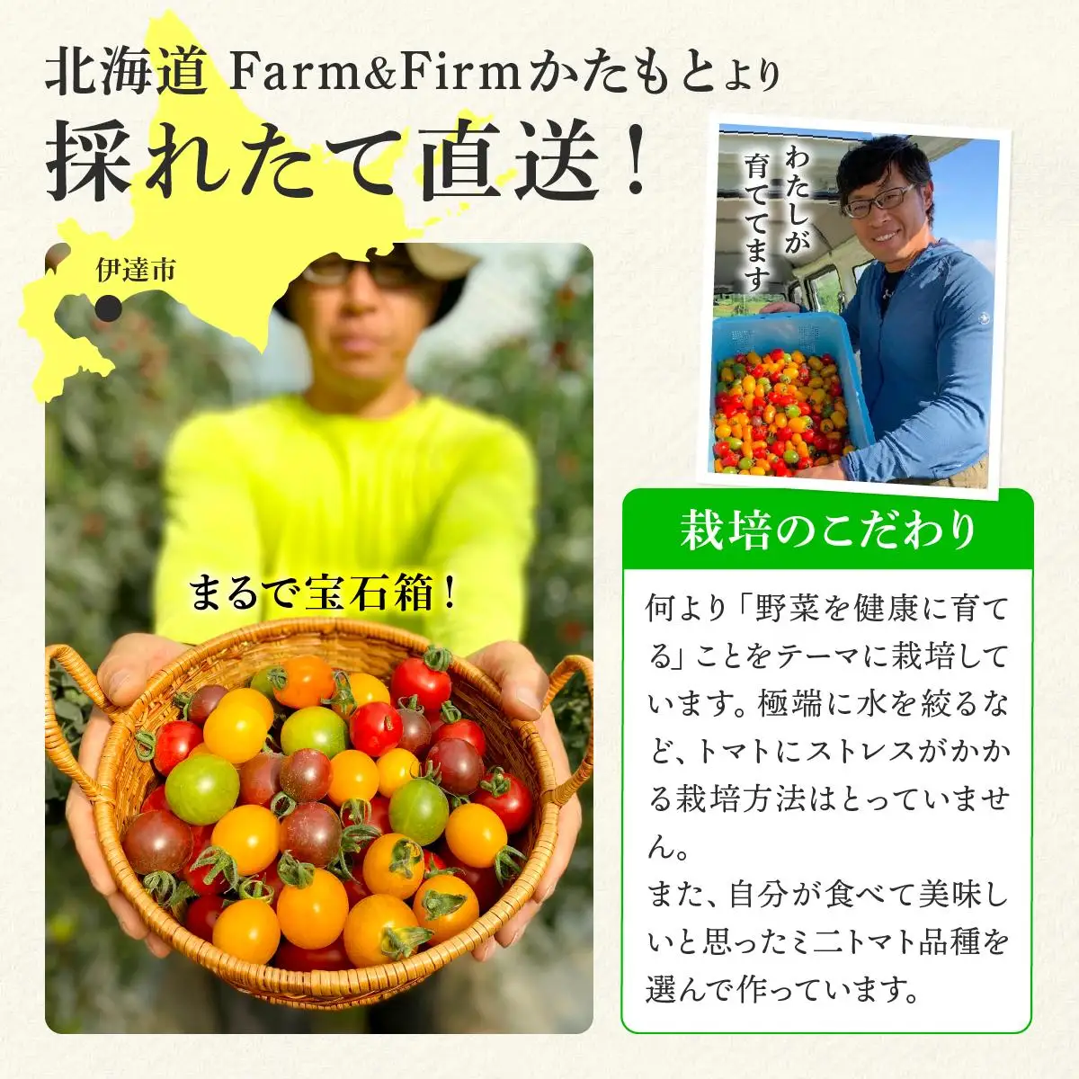 ＜先行予約＞カラフルミニトマトセット1.5kg【ffk-002】