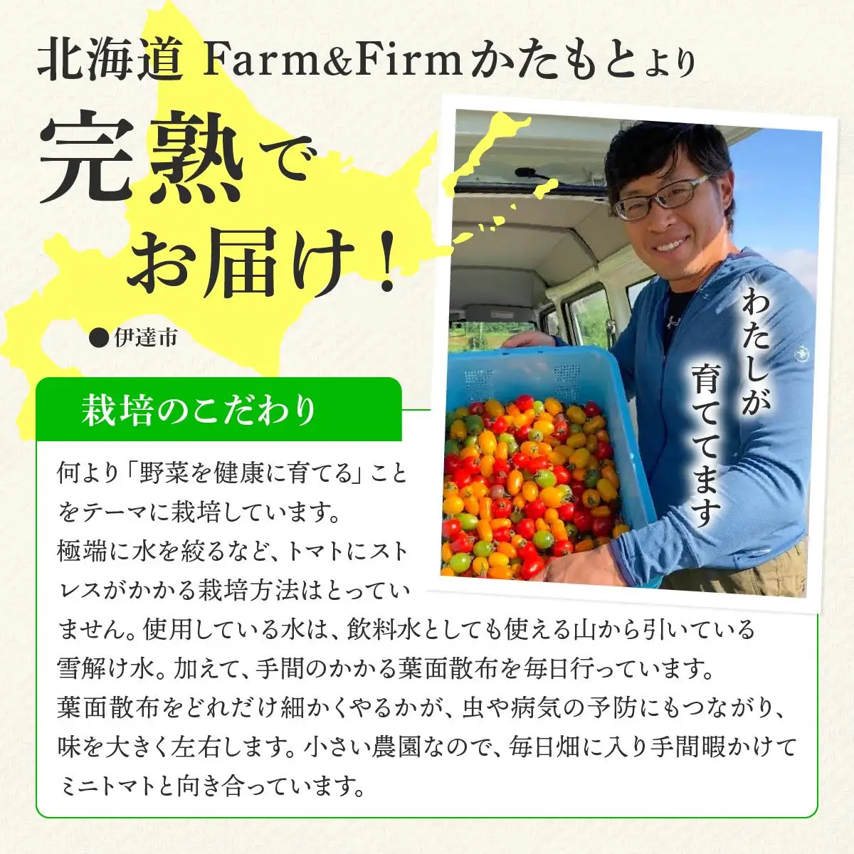 ＜先行予約＞ミニトマト ほれまる 1.5kg【ffk-001】