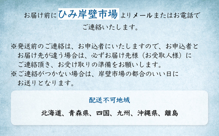 【冷蔵】氷見の海鮮 お刺身詰め合わせ 5種（サク）4,5人前　刺身