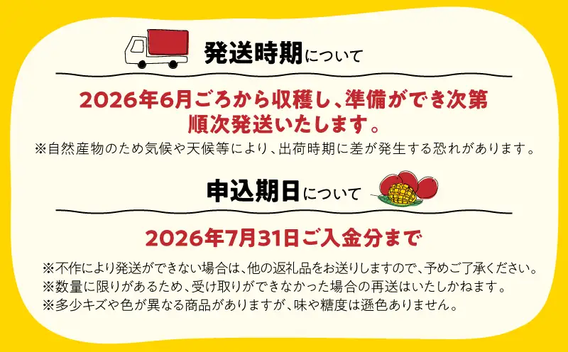 【 期間限定 】 2831 超絶 ！ KANOYeah ！マンゴー 1kg（ 2～3玉 ） KN112-001 果物